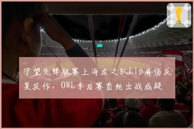 守望先锋联赛上海龙之队Lip肩伤反复发作,OWL季后赛首轮出战成疑