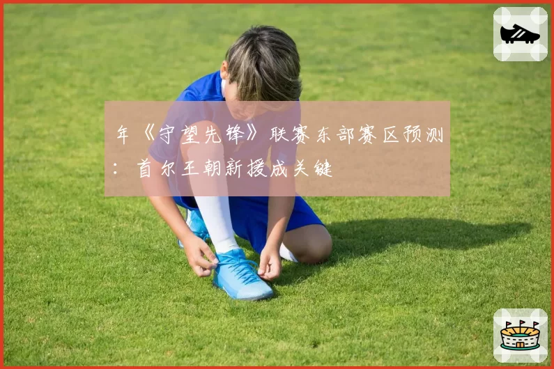 年《守望先锋》联赛东部赛区预测：首尔王朝新援成关键